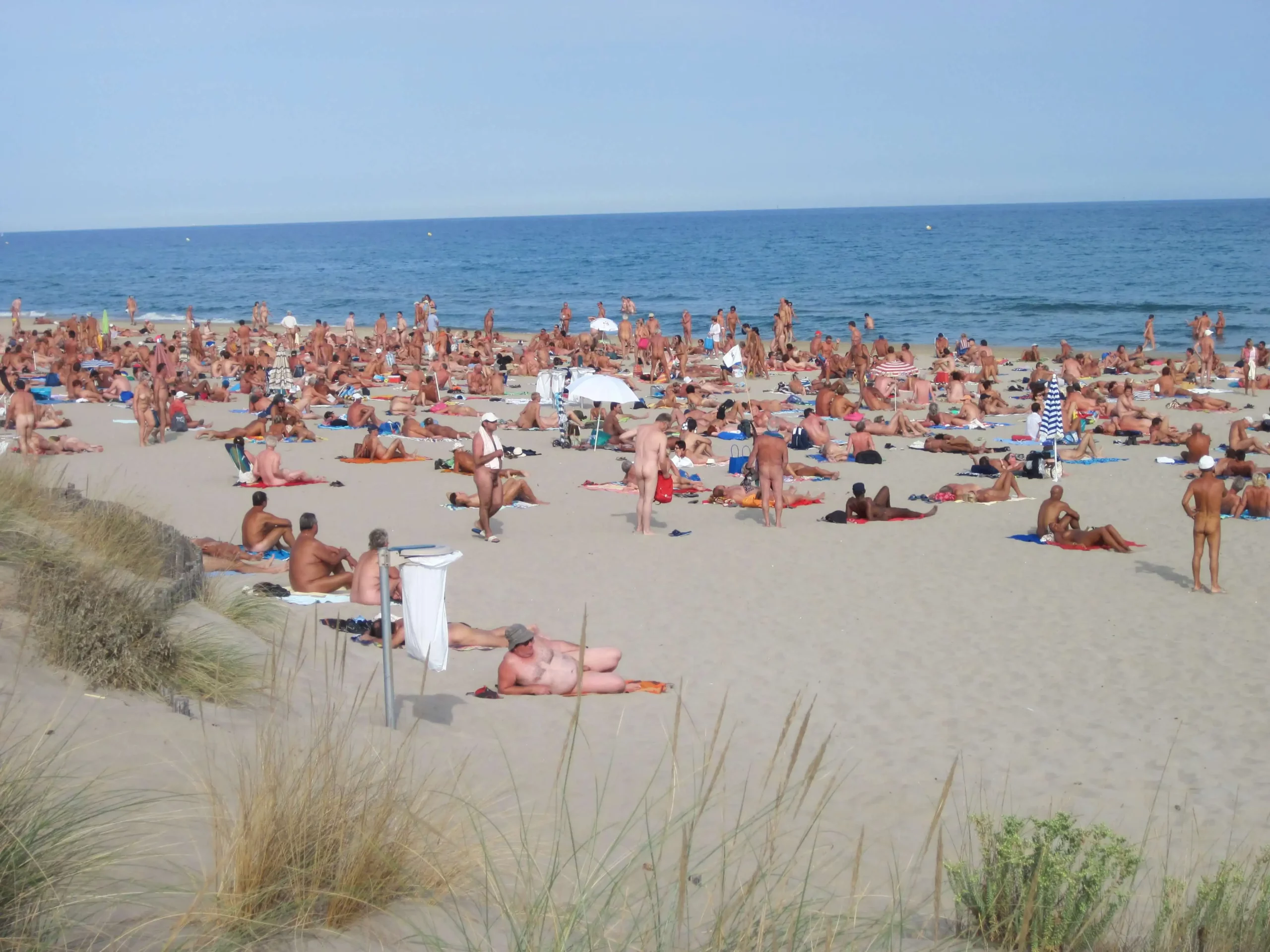 euro swinger nudist beach