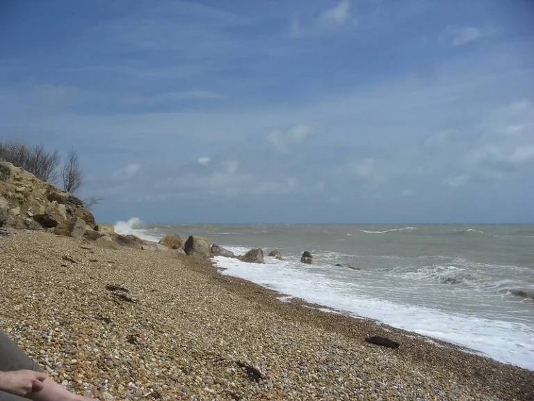View of Fairlight Glen Beach in East Sussex