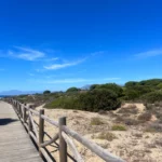 Scenic walk to Playa de Artola - Cabopino