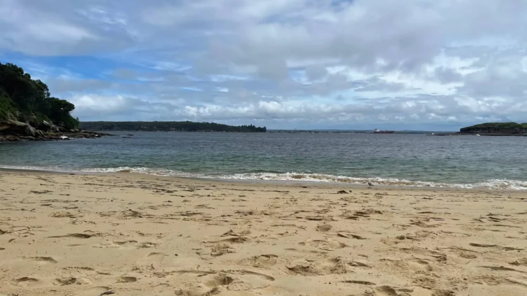 Soft sand and unofficially nude at Little Congwong Beach in Sydney