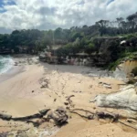 Isolated but not too tricky to reach - Little Jibbon Nude Beach in Bundeena